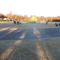 都立 光が丘公園 その３
