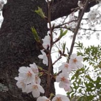 おひつじ座の新月にやってみるといいこと