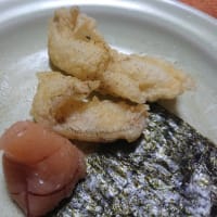 メゴチや雑魚の天ぷら