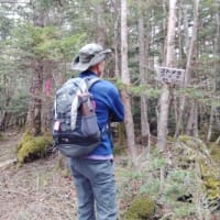 大弛峠起点に念願の周回達成⤴