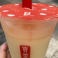人生初