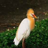 記事を更新しました！6月17日（火）