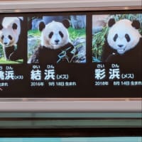 アドベンチャーワールド