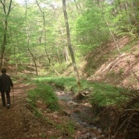 福島の空、白河郊外にある関山に登って来ました。再投稿です！