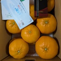 姉から甘平とチョコ、兄から優待券が届きました