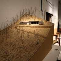 国立新美術館で、『リビング・モダニティ 住まいの実験 1920s~1970s』を観ました。