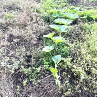 6月16日（月）②