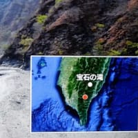 グレートネイチャー「彩りの島　台湾」より