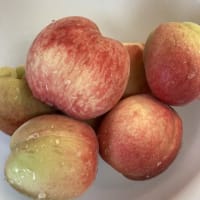 桃の実を収穫してみました。