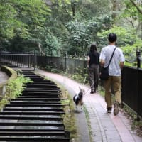 ｢南禅寺｣あさんぽ～2024夏の京都三島帰省⑯