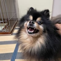 憂鬱が晴れた朝