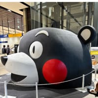 今日いち-2025年2月8日