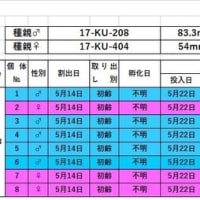 2020年度の途中経過と2019年度の最終結果。