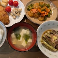 ささみチーズフライの晩御飯