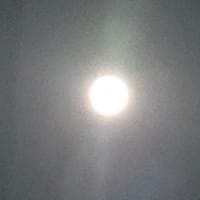 今日、本当に呪いからとかれる！
