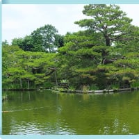 梅宮大社の京の庭を訪ねて・・