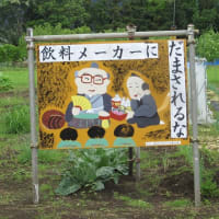 カメラをめぐる諸問題（バカ話）