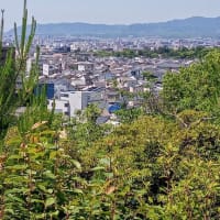 船岡山公園sketch