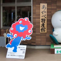 2025 綾部　春のバラまつり　赤い薔薇と黒猫