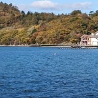 十和田の紅葉