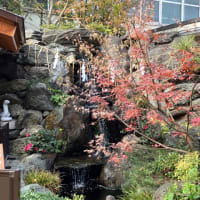 蛇窪神社(´･ω･`)
