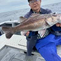 5/24の釣果です