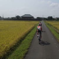 9/8 朝ラン100Kmコース