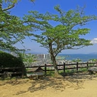 素晴らしい琵琶湖の眺望
