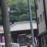 古代蓮