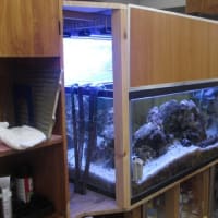 お店のプチ改装（その２）