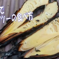 ニジマス🐟と竹の子🧤、焼いちゃおう～！田舎の自然の中で自然を食べるパート６