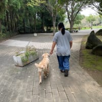 今日いち-2024年10月27日