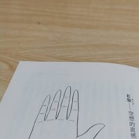 ゆりかごから終末までをケアするスーパー看護師兼占い師の隠れ家占い、上高原手相解説　手型で性格がズバリ、 個性を決定する六つのタイプ　Eタイプ・Fタイプ