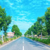 もう夏だネ。