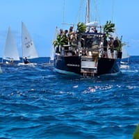 ワイキキ沖で散骨 マラサダ合戦