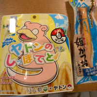 居酒屋風の晩御飯