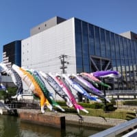 旧堺港の光る海、土居川の鯉のぼり