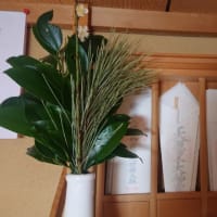建国記念日に神棚の梅の花が咲いたo(^o^)o