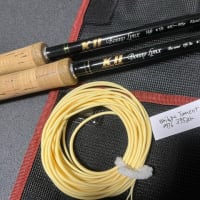 本日のラインインプレッション！！！～BRIDGE SPEY TORRENT HEAD ～