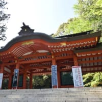 茨城の香取神宮　つつじと鳥居　　　4