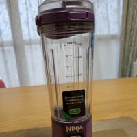 NINJAを買ってもらったよ
