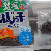 お世話になります　キュウリ君