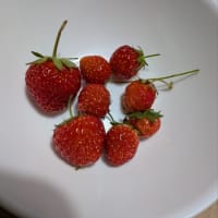 整形外科に行ってきました