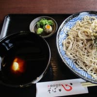 ブログ更新出来ず　子供達に心配かけました。