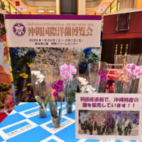 ❤️7/12❤️①羽田空港第1パトロール❤️