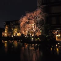 京都でのホテル