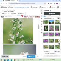 はてなブログ、まとめて画像アップロード