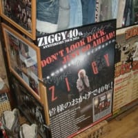 「ＺＩＧＧＹ」 ４０周年 記念 ツアー ポスター と お知らせ