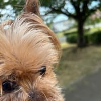 血液検査の結果