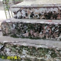 阪南市石田波太神社・伊勢大神楽講社山本勘太夫社中の総舞奉納～神社初参詣～